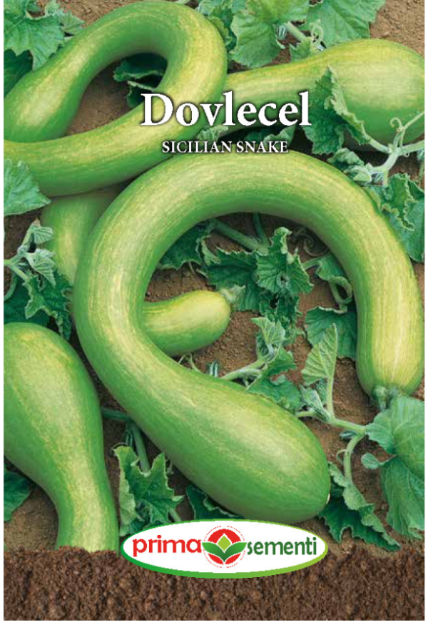 Dovlecel sicilian snake