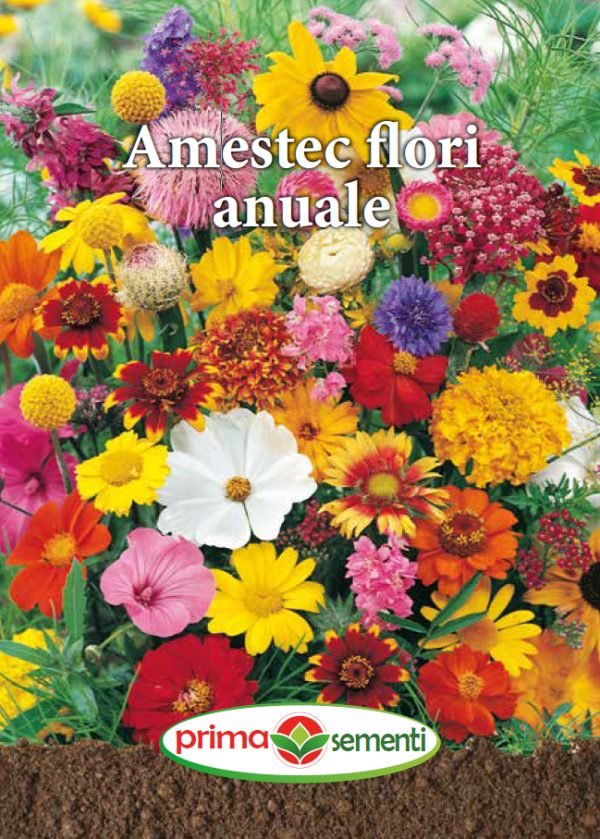 Seminte amestec flori anuale