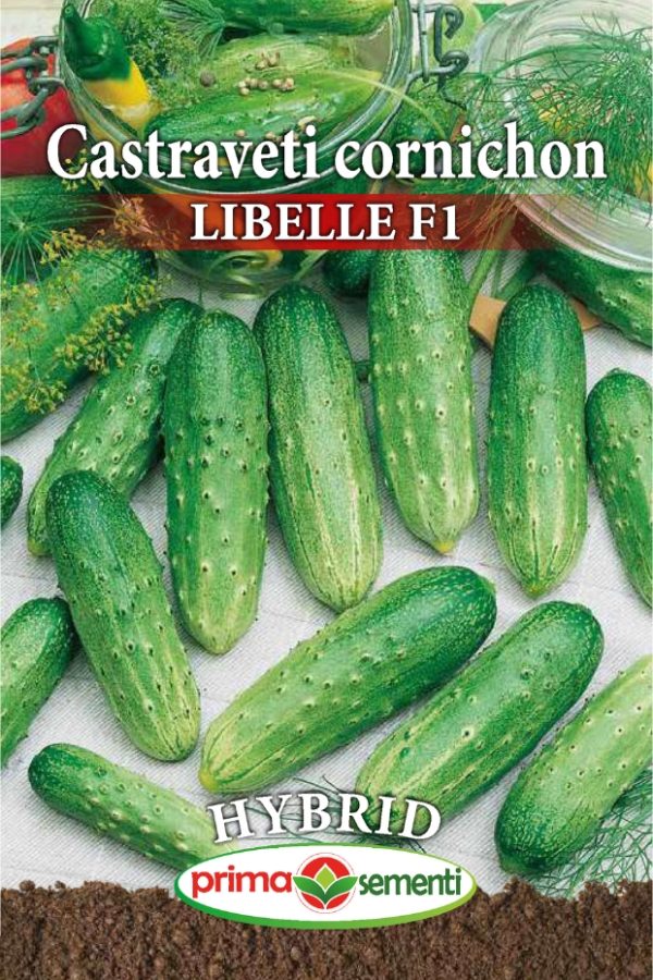 Seminte castraveti cornichon Libelle F1
