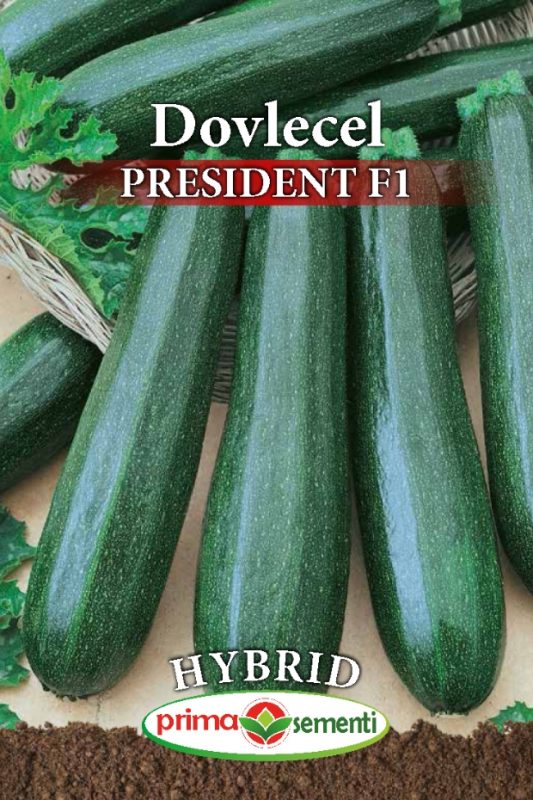 Seminte dovlecel President F1