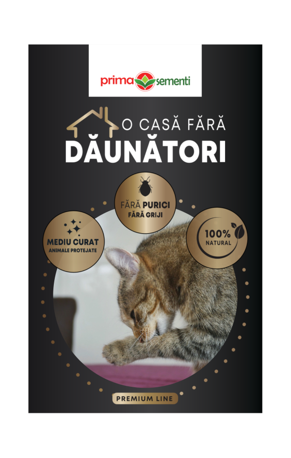 O casa fara daunatori - Purici